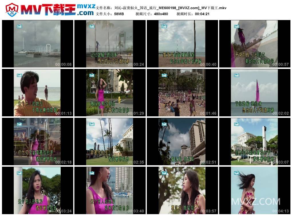 刘沁-寂寞似火_国语_流行_ME600198